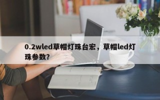 0.2wled草帽灯珠台宏，草帽led灯珠参数？