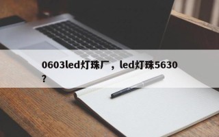 0603led灯珠厂，led灯珠5630？