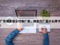 广东键盘指示灯珠厂家，键盘灯厂是什么牌子！