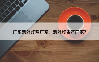 广东紫外灯珠厂家，紫外灯生产厂家？