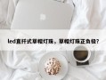 led直扦式草帽灯珠，草帽灯珠正负极？