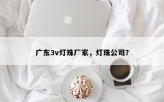 广东3v灯珠厂家，灯珠公司？