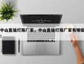 中山直插灯珠厂家，中山直插灯珠厂家有哪些！