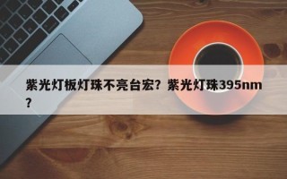 紫光灯板灯珠不亮台宏？紫光灯珠395nm？