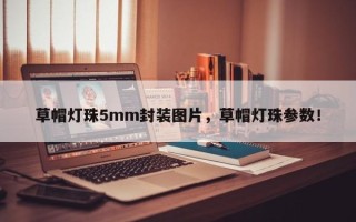 草帽灯珠5mm封装图片，草帽灯珠参数！