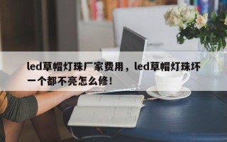 led草帽灯珠厂家费用，led草帽灯珠坏一个都不亮怎么修！
