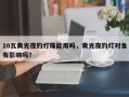 10瓦黄光夜钓灯珠能用吗，黄光夜钓灯对鱼有影响吗？
