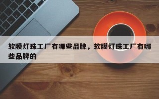 软膜灯珠工厂有哪些品牌，软膜灯珠工厂有哪些品牌的