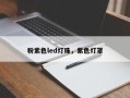 粉紫色led灯珠，紫色灯罩