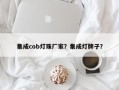 集成cob灯珠厂家？集成灯牌子？