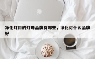 净化灯用的灯珠品牌有哪些，净化灯什么品牌好