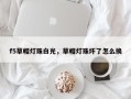 f5草帽灯珠白光，草帽灯珠坏了怎么换