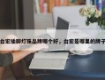 台宏插脚灯珠品牌哪个好，台宏是哪里的牌子