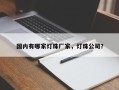 国内有哪家灯珠厂家，灯珠公司？