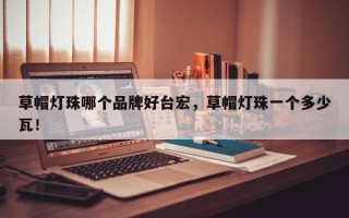 草帽灯珠哪个品牌好台宏，草帽灯珠一个多少瓦！