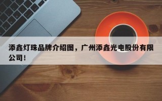 添鑫灯珠品牌介绍图，广州添鑫光电股份有限公司！
