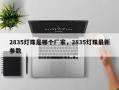 2835灯珠是哪个厂家，2835灯珠最新参数