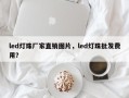 led灯珠厂家直销图片，led灯珠批发费用？
