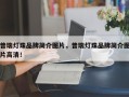 普瑞灯珠品牌简介图片，普瑞灯珠品牌简介图片高清！