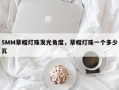 5MM草帽灯珠发光角度，草帽灯珠一个多少瓦