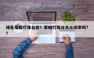绿色草帽灯珠台宏？草帽灯珠分大小功率吗?？