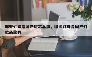 哪些灯珠是国产灯芯品牌，哪些灯珠是国产灯芯品牌的