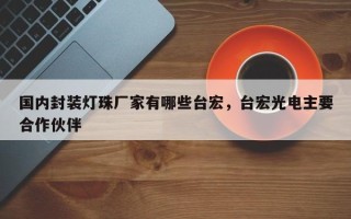 国内封装灯珠厂家有哪些台宏，台宏光电主要合作伙伴