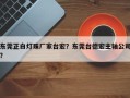 东莞正白灯珠厂家台宏？东莞台德宏主轴公司？