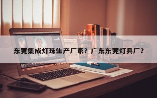 东莞集成灯珠生产厂家？广东东莞灯具厂？