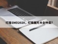 灯珠SMD2020，灯珠图片大全种类？