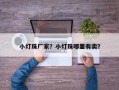 小灯珠厂家？小灯珠哪里有卖？