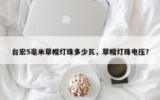 台宏5毫米草帽灯珠多少瓦，草帽灯珠电压？