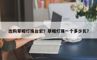 选购草帽灯珠台宏？草帽灯珠一个多少瓦？