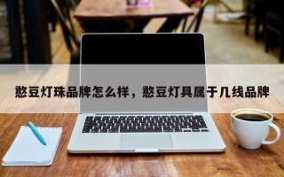 憨豆灯珠品牌怎么样，憨豆灯具属于几线品牌