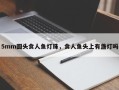 5mm圆头食人鱼灯珠，食人鱼头上有盏灯吗