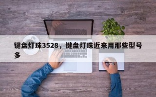 键盘灯珠3528，键盘灯珠近来用那些型号多