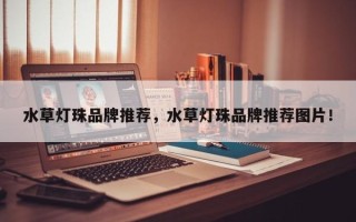 水草灯珠品牌推荐，水草灯珠品牌推荐图片！