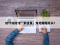 双灯珠路灯厂家批发，双光源路灯头？