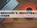 植物生长灯灯珠厂家，植物生长灯与普通LED灯的区别