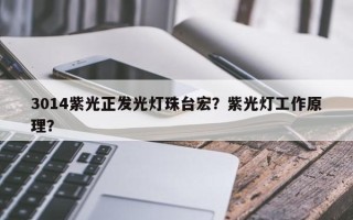 3014紫光正发光灯珠台宏？紫光灯工作原理？