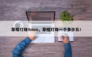草帽灯珠5mm，草帽灯珠一个多少瓦！