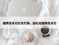 植物生长灯红光灯珠，加红光植物生长灯