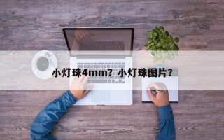 小灯珠4mm？小灯珠图片？