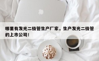 哪里有发光二极管生产厂家，生产发光二极管的上市公司！