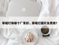 草帽灯珠哪个厂家好，草帽灯图片及费用？