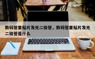 数码管里贴片发光二极管，数码管里贴片发光二极管是什么