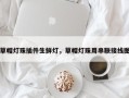 草帽灯珠插件生鲜灯，草帽灯珠用串联接线图