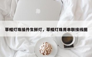 草帽灯珠插件生鲜灯，草帽灯珠用串联接线图