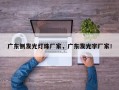 广东侧发光灯珠厂家，广东发光字厂家！