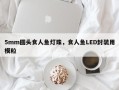 5mm圆头食人鱼灯珠，食人鱼LED封装用模粒